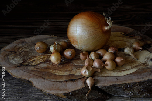 Small bulbs for planting in the ground.