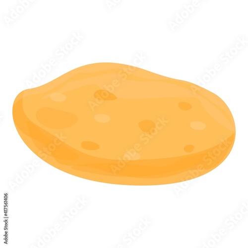 Organic pita bread icon. Cartoon of organic pita bread vector icon for web design isolated on white background