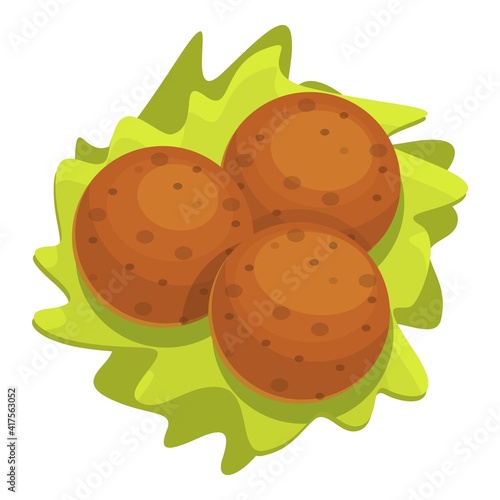 Fast food falafel icon. Cartoon of fast food falafel vector icon for web design isolated on white background