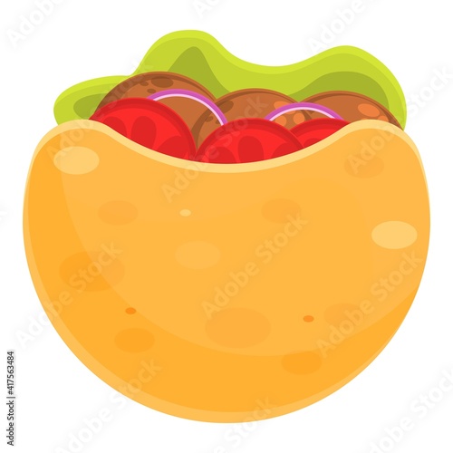 Salad falafel icon. Cartoon of salad falafel vector icon for web design isolated on white background