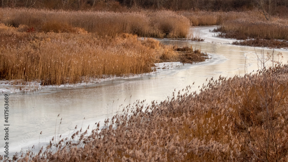 A frozen river in the middle of an overgrown meadow. A frozen river in the middle of an overgrown meadow.