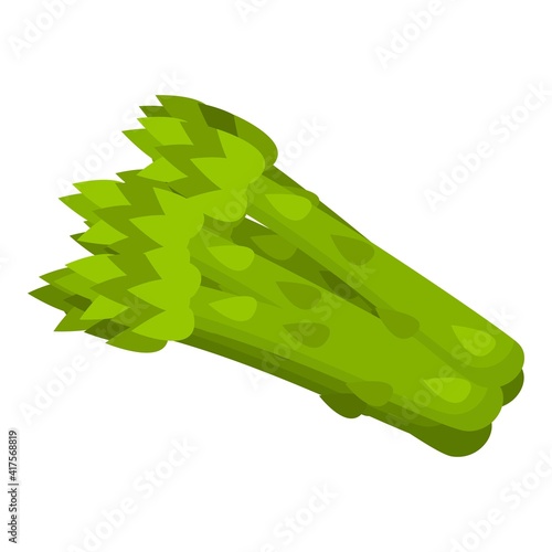 Asparagus icon. Cartoon of asparagus vector icon for web design isolated on white background