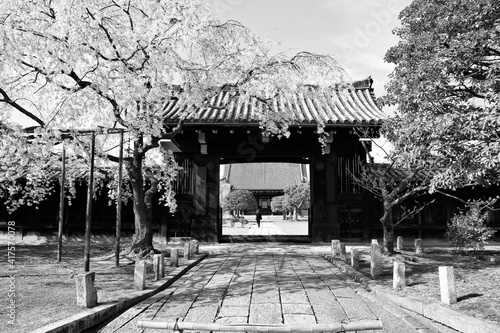 Kyoto. Japan black and white. photo