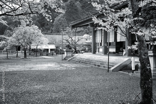 Kurama Temple, Japan. Black and white. photo