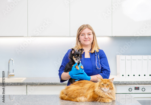 The veterinarian hugs the cat and the dog at the reception in the clinic. Animal care concept
