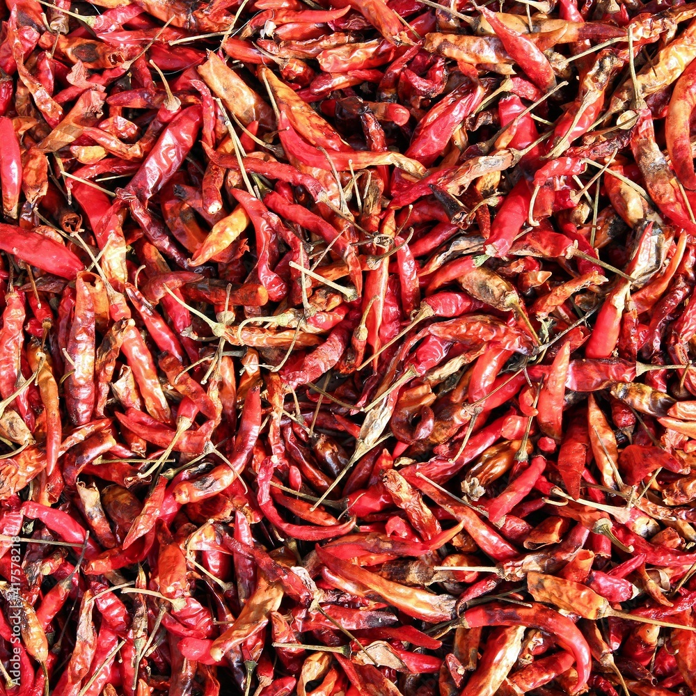Fototapeta premium Drying chili peppers in Thailand