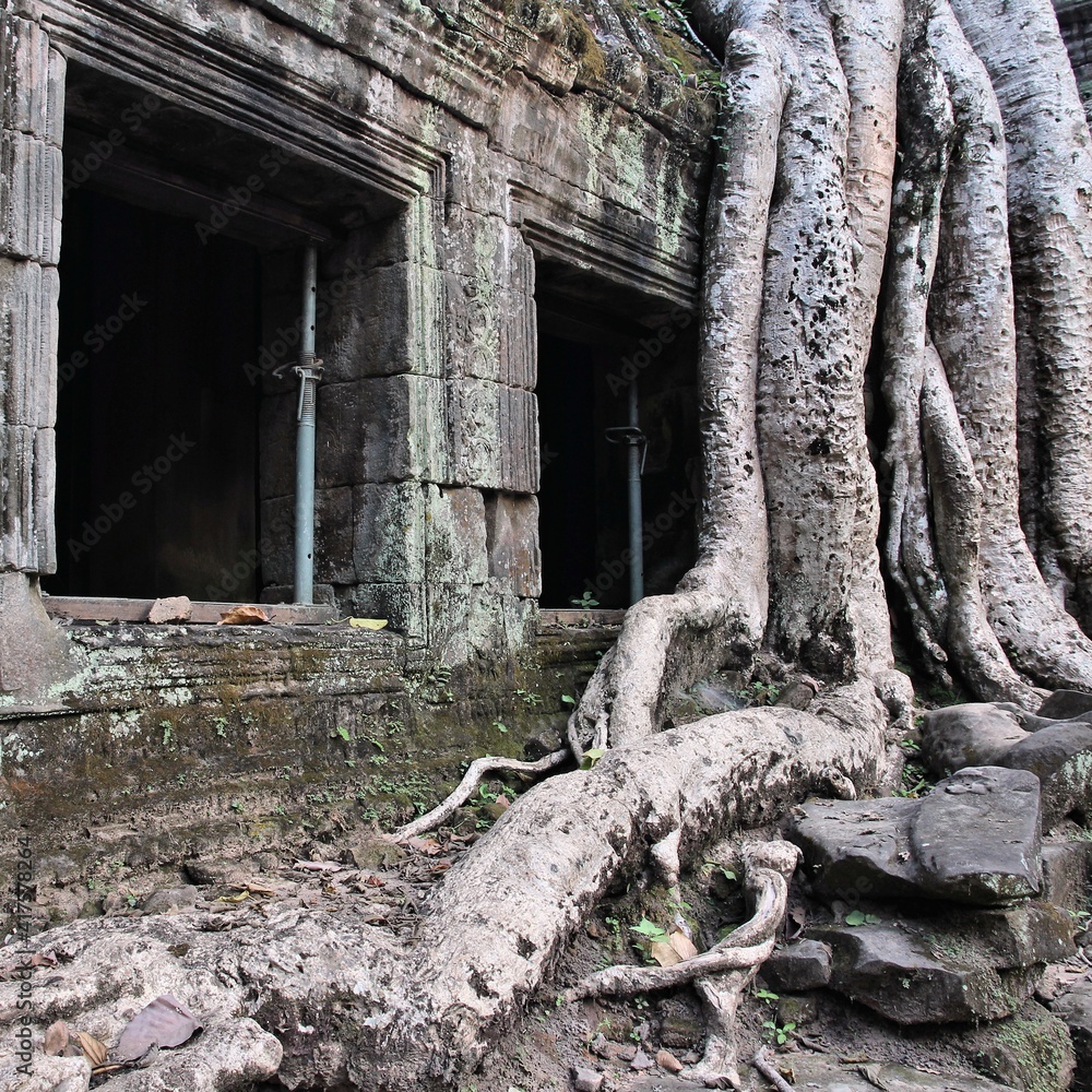 Cambodia temple. Landmarks of Cambodia - Ta Prohm temple ruin. Cambodia temple. Landmarks of Cambodia - Ta Prohm temple ruin.