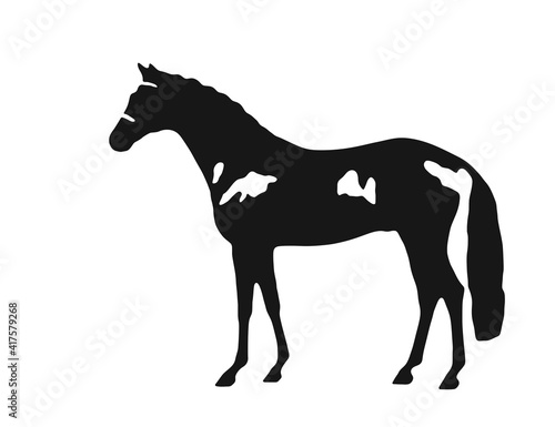 Shadow image of a beautifully standing horse