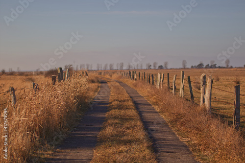 Path in the landscape