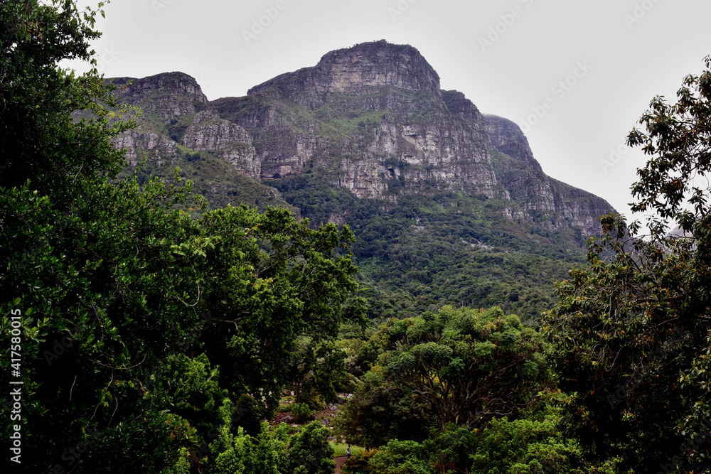 A side view of Table Mountain from Kirstenbosch Botanical Gardens