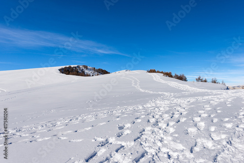 Many footprints in the powder snow in a winter landscape. Lessinia Plateau (Altopiano della Lessinia), Regional Natural Park, near Malga San Giorgio, ski resort in Verona province, Veneto, Italy, Eu.