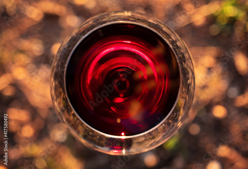 aerial view of a glass of wine