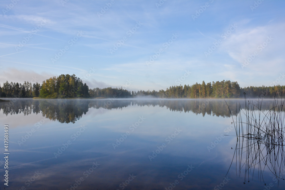 Lake in Sweden with forest shore