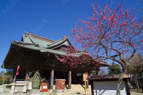 宗吾霊堂　梅のある風景
春の風景