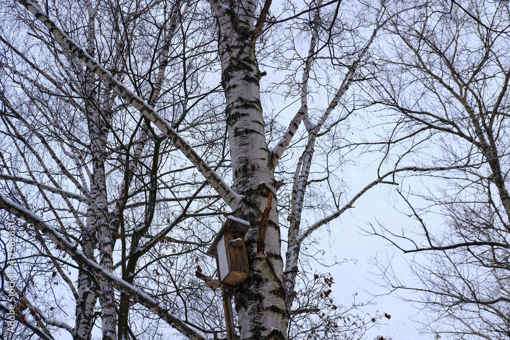 Fototapeta premium Homemade old birdhouse on a big birch in winter. Selective focus