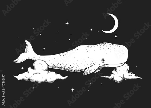 cachalot swims in the night sky photo