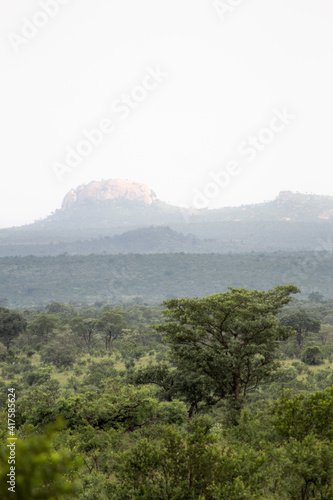 A beautiful landscape of the african bush. Mountain in the background