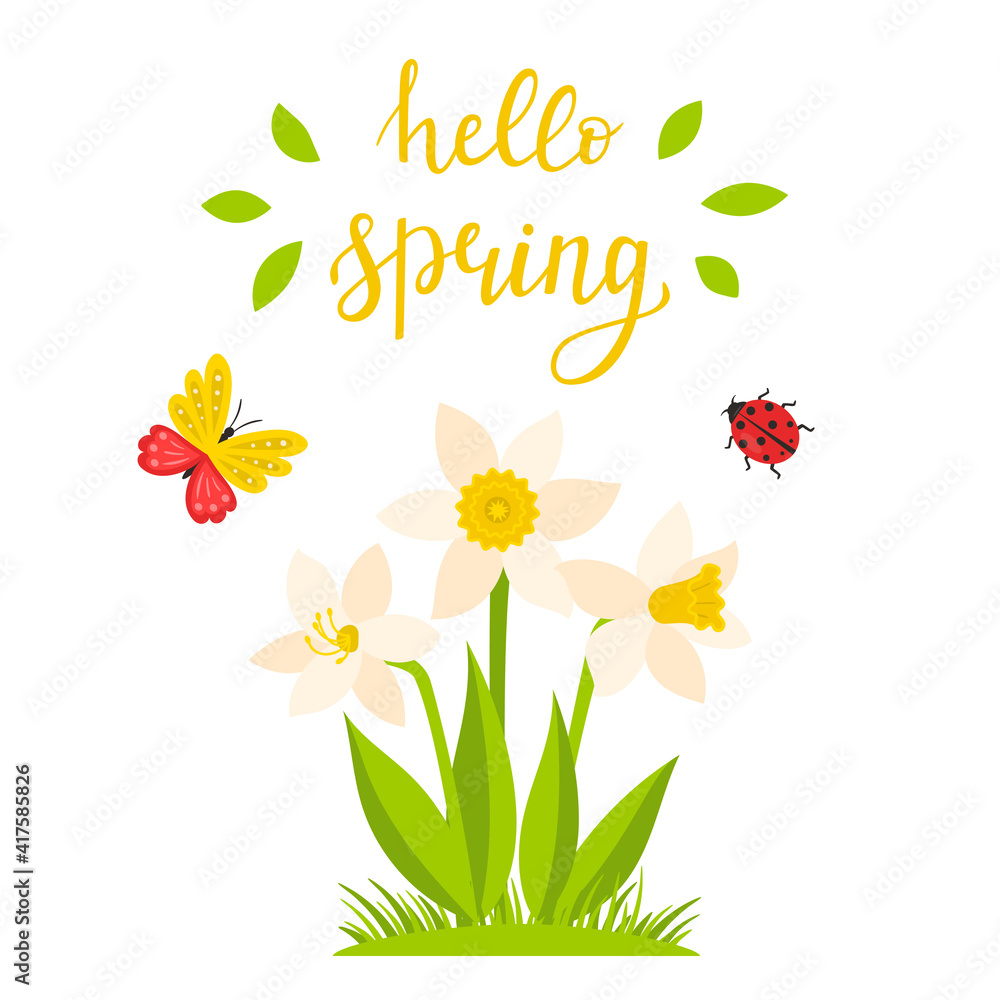 A daffodil bush and a calligraphic inscription-Hello spring. Hand lettering. The concept of a spring, summer card with a botanical illustration in a cartoon flat style, isolated on a white background.
