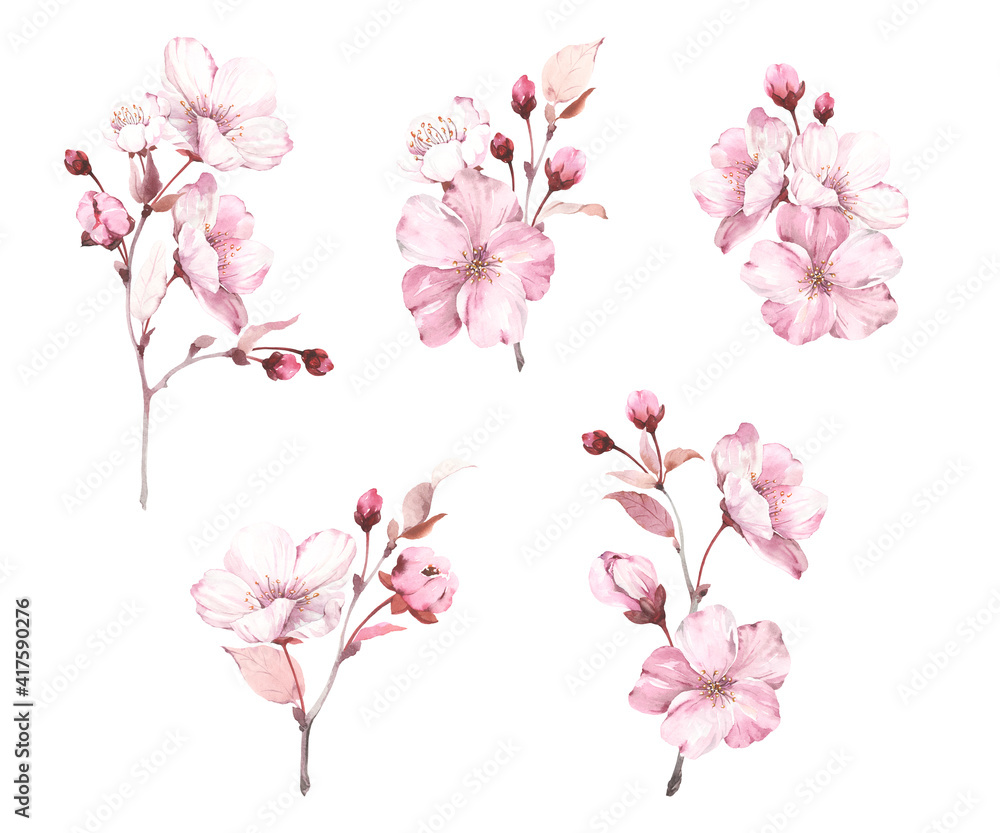 Set of decorations sakura on white background. Watercolor spring illustration with branches blossoming cherry, flowers, buds and leaves, isolated collection for your design.