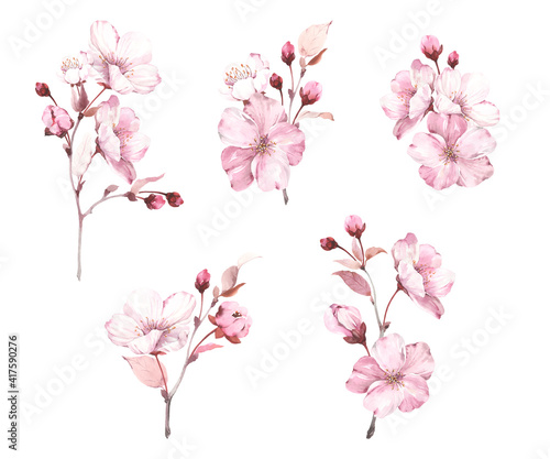 Set of decorations sakura on white background. Watercolor spring illustration with branches blossoming cherry, flowers, buds and leaves, isolated collection for your design.