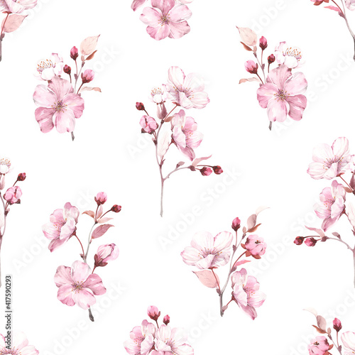 Floral seamless pattern with sakura branches on white background. Watercolor spring illustration with flowers, buds and leaves cherry blossom. © Nikole