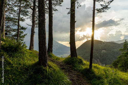 Forest Sunset
