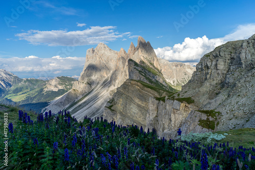 Dolomites Seceda