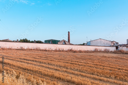 Freshly picked dry cereal field with factory