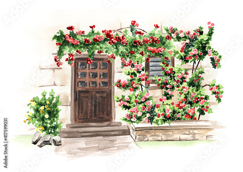 Wooden door in an old stone house with climbing rores. Hand drawn watercolor illustration, isolated on white background photo