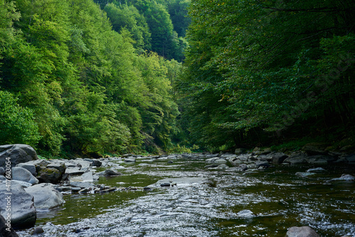 A shallow mountain river with stony banks  flowing in the middle of a quiet forest