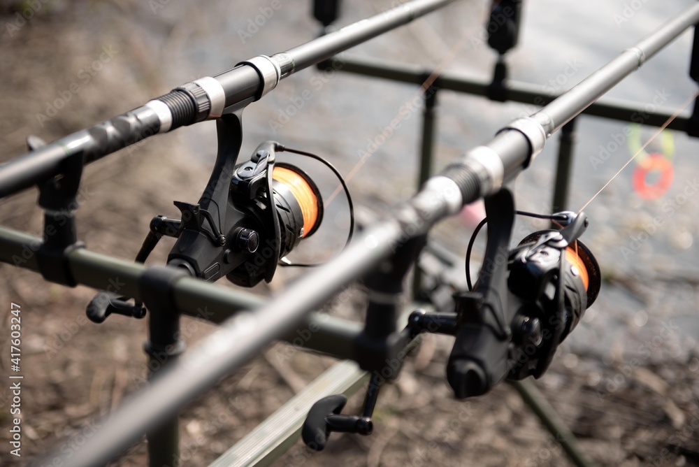 Carp fishing rods with reels isolated. Carp fishing rods with reels isolated.