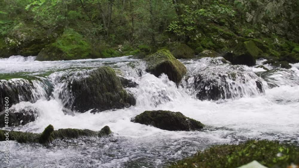 The source of the Zrmanja River with rapids on rock with moss, Croatia The source of the Zrmanja River with rapids on rock with moss, Croatia