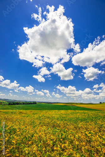 soy plantation, agriculture and development