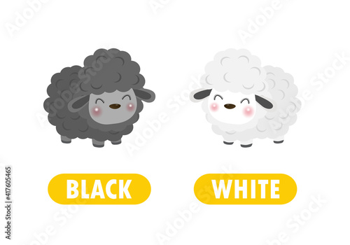 Opposite black and white Words antonym for children with cartoon characters cute little sheep, funny animal Flat vector illustration isolated on white background
