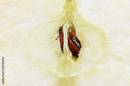 Close-up of a cut apple. The cut shows how bones grow inside the apple. The apple is very rich in vitamins.