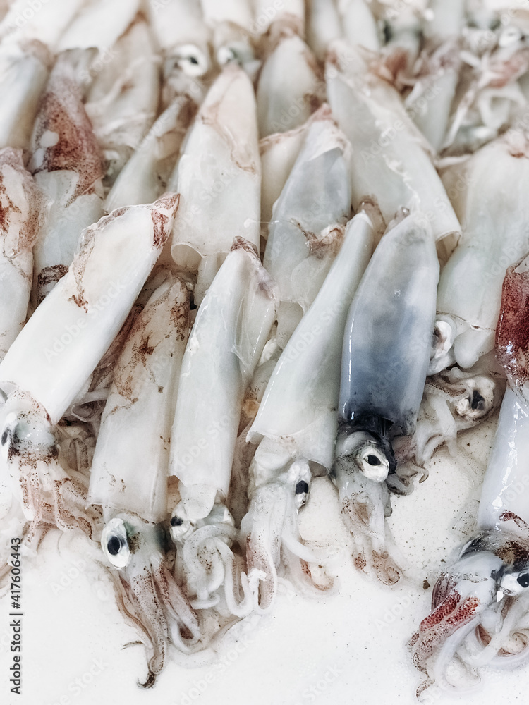 Raw fresh shellfish close-up on the eco market. Street food on white background. Soft focus Raw fresh shellfish close-up on the eco market. Street food on white background. Soft focus