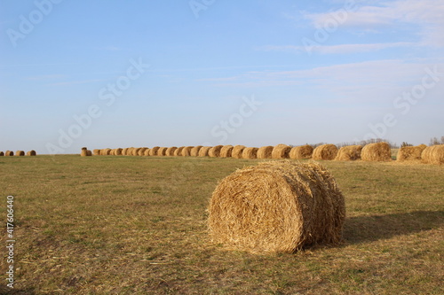 hay bales in a field in autumn against a blue sky