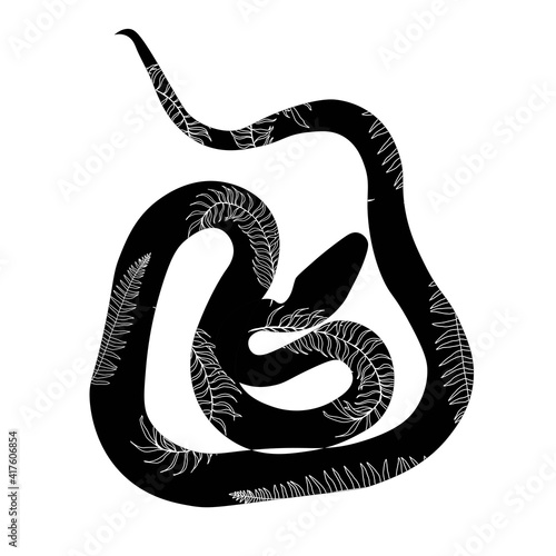 Anaconda snake or boa constrictor. Cobra is poisonous. Viper snake. Decorative print for clothes. Adjacent