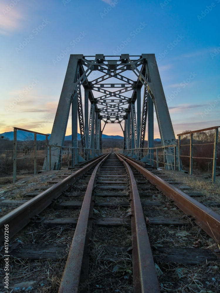 Fototapeta premium railway bridge