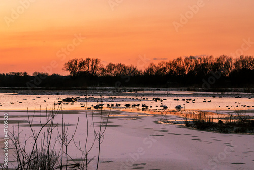 Floodplain Forest nature reserve in Milton Keynes, photographed at sunset with some light snow and ducks