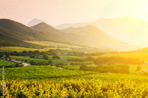 Picturesque landscape with vineyards on the background of the high mountains.