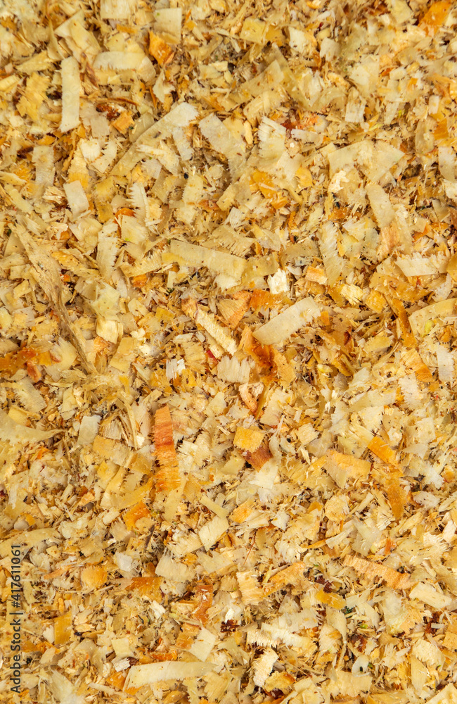 Wood shavings or sawdust after cutting wooden logs. Texture background close up top view Wood shavings or sawdust after cutting wooden logs. Texture background close up top view