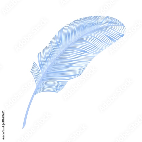 Realistic feather, elegant element. Blue bird feather