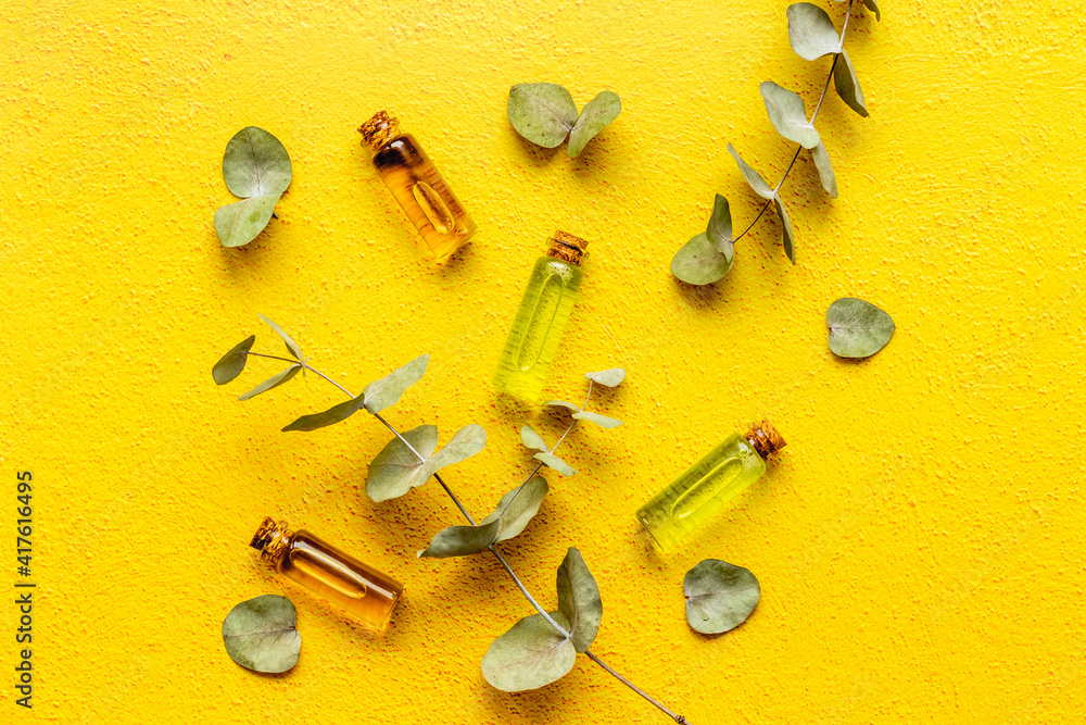 Essential eucalyptus oil in glass bottle. Herbs cosmetic and skincare product concept Essential eucalyptus oil in glass bottle. Herbs cosmetic and skincare product concept