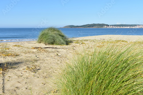 Beach with grass on sand dunes at famous Rias Baixas region. Muxia, Coruña, Galicia, Spain. 