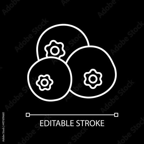 Blueberries white linear icon for dark theme. Fresh fruits. Nutrient berries. Vitamin food. Thin line customizable illustration. Isolated vector contour symbol for night mode. Editable stroke