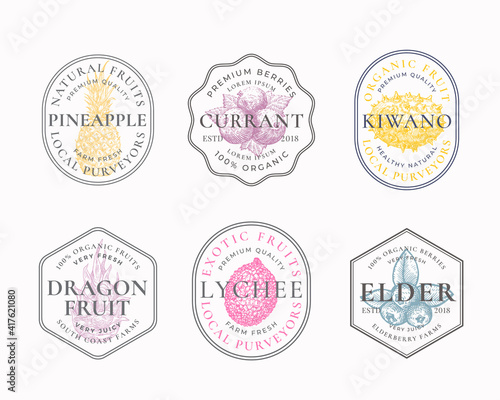 Fruits and Berries Frame Badges or Logo Templates Collection. Hand Drawn Pineapple, Lychee, Kiwano, Currant and Elderberry Sketches with Typography and Borders. Vintage Premium Emblems Set. Isolated