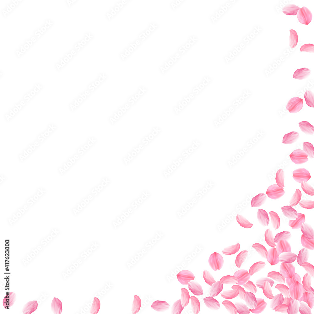 Sakura petals falling down. Romantic pink bright medium flowers. Thick flying cherry petals. Square Sakura petals falling down. Romantic pink bright medium flowers. Thick flying cherry petals. Square