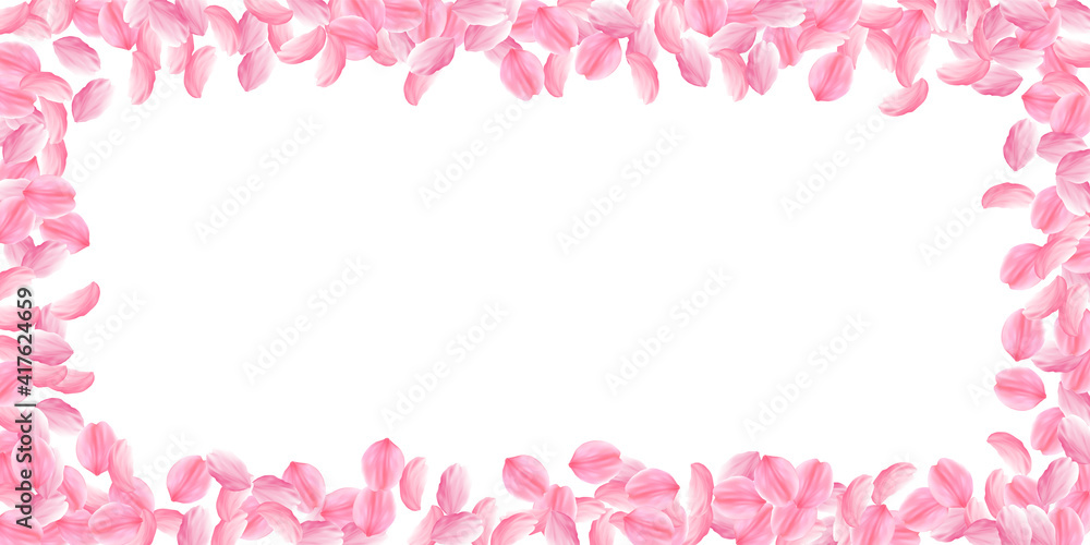 Sakura petals falling down. Romantic pink bright big flowers. Thick flying cherry petals. Wide scatt