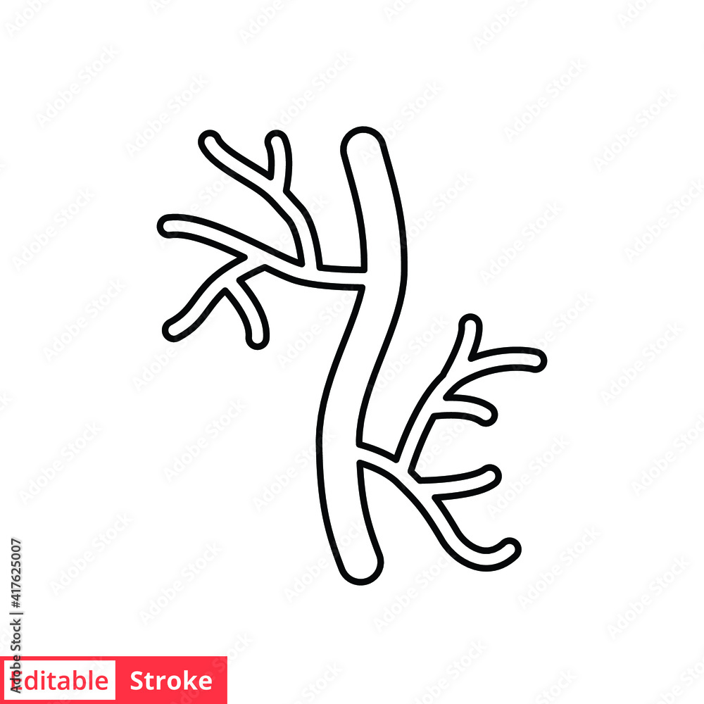 Human artery line icon. Outline style can be used for web, mobile, ui. Blood, vessel, artery, vascular, vein concept. Vector illustration isolated on white background. Editable stroke EPS 10. Human artery line icon. Outline style can be used for web, mobile, ui. Blood, vessel, artery, vascular, vein concept. Vector illustration isolated on white background. Editable stroke EPS 10.